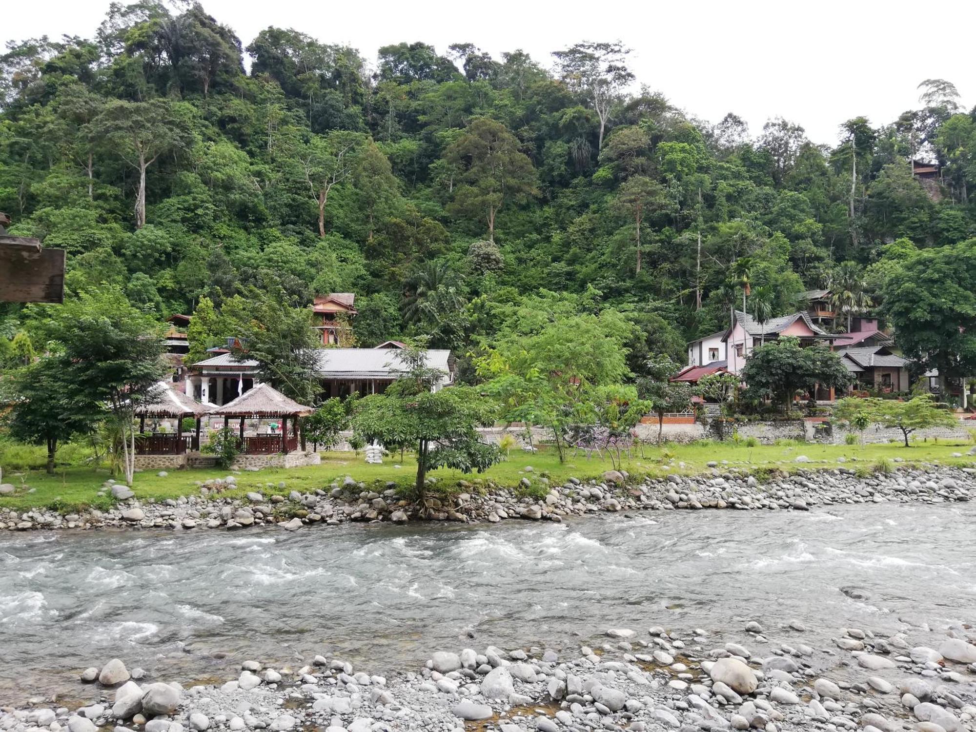 Umiyuki Jungle Tour Only Treking With As Hotel Bukit Lawang Kültér fotó